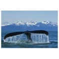 thumbnail image 1 of Great BIG Canvas | "Humpback Whale fluking in Lynn Canal with Chilkat Mountains in the distance" Art Print - 24x16, 1 of 4