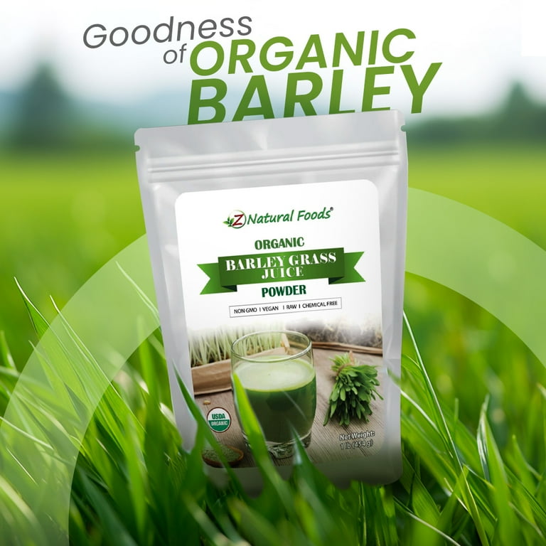 USDA Organic Barley Grass Powder, Raw, Vegan, Green Super Food, Rich in  Plant Protein, Fibers and Minerals, Natural Energy Booster and Body Detox,  Resealable Pouch 4 OZ / 113 GM 