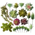 thumbnail image 1 of Inteprter Accesorios para fotos microsuculentas Plantas simuladas Multifuncional Artificial Realista Decoraciones de bonsái de buen aspecto SET0824 Flores artificiales SET0819 paquete de 18 Inteprter HA060204-10B, 1 of 6