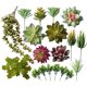 thumbnail image 1 of Ounissouiy Suculentas falsas, accesorios para fotos, plantas decorativas simuladas, bonsái, decoraciones para el hogar, patios, césped, maceta, SET0836 Flores artificiales SET0819 paquete de 18 Ounissouiy HA060204-10B, 1 of 6