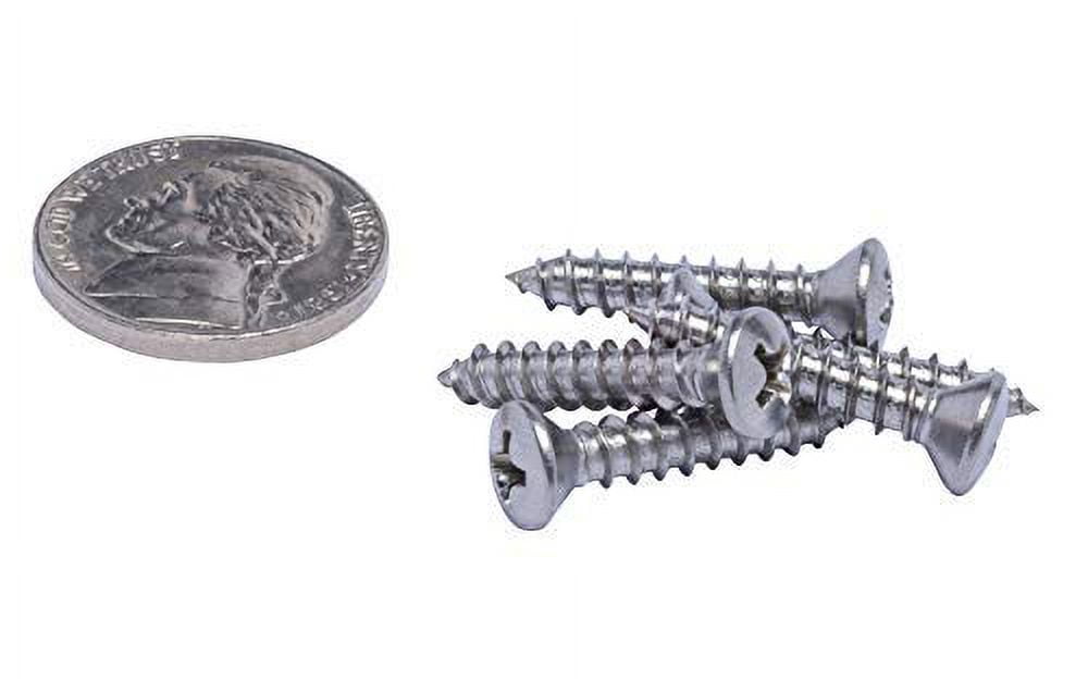 #8 X 7/8" Stainless Oval Head Phillips Wood Screw (100pc) 18-8 (304) Stainless Steel Screws by Bolt Dropper