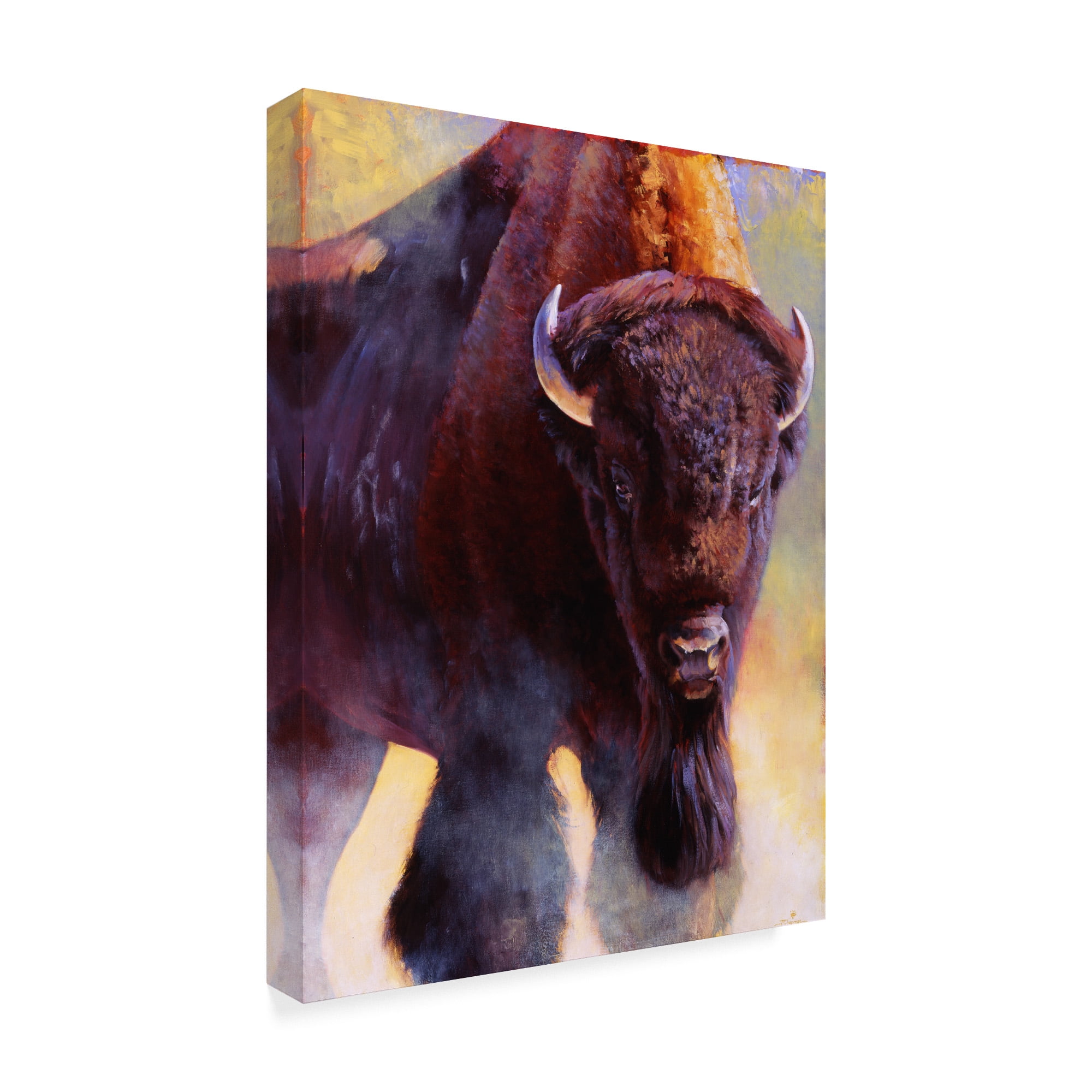 Trademark Fine Art 'Warrior Buffalo' Canvas Art by Julie T. Chapman
