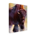 thumbnail image 2 of Trademark Fine Art 'Warrior Buffalo' Canvas Art by Julie T. Chapman, 2 of 4