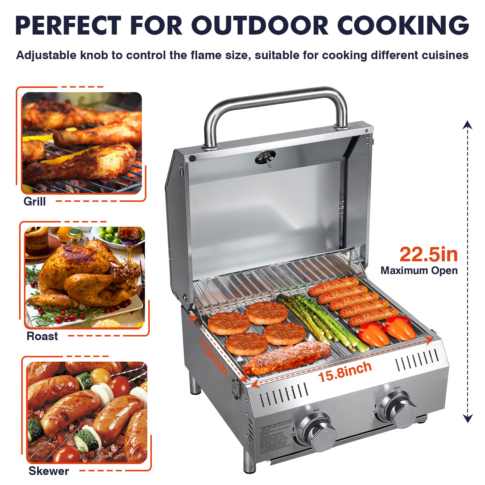 Frizi Portable 2-Burner Tabletop Propane Grill for Patio, 20,000 BTU, Stainless Steel, Camping & Tailgating
