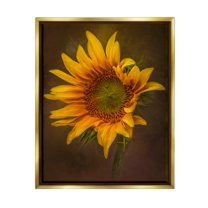 Stupell Industries Modern Detailed Sunflower Petals Botanical & Floral Painting Gold Floater Framed Art Print Wall Art