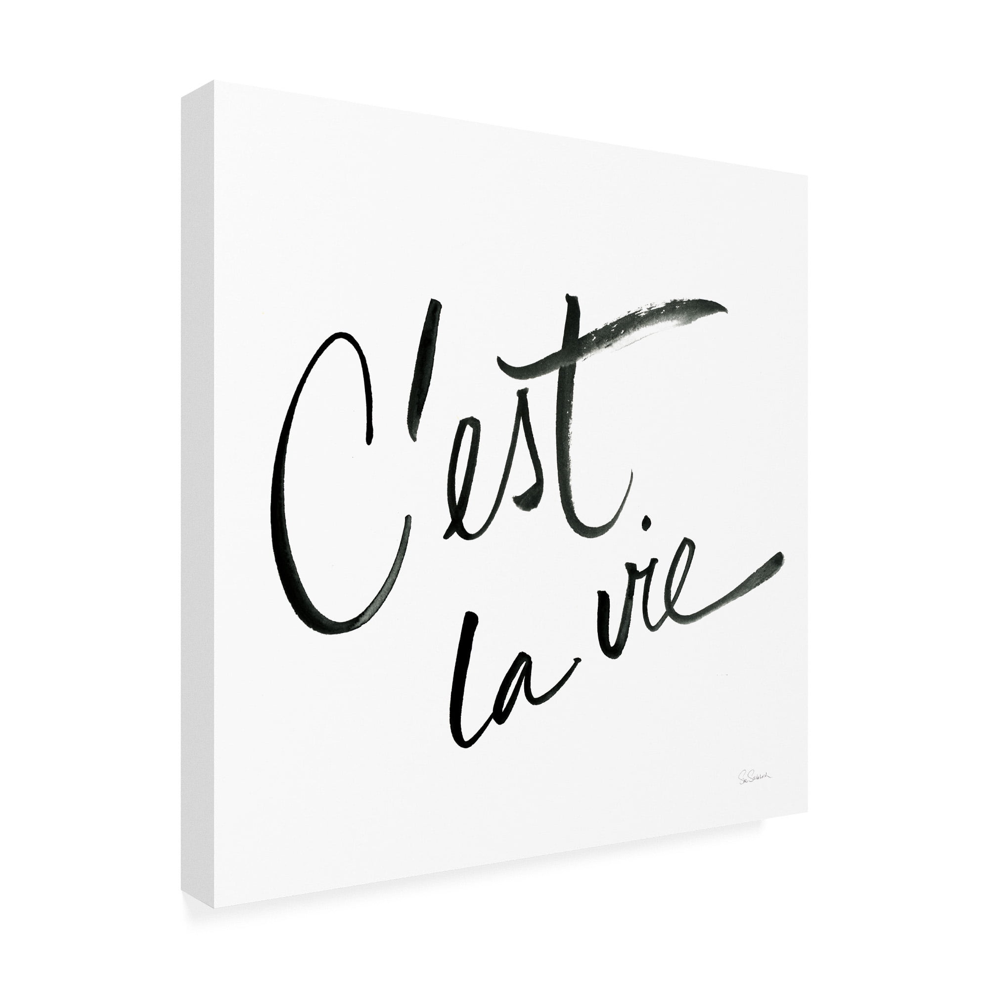 Trademark Fine Art 'Cest La Vie White' Canvas Art by Sue Schlabach