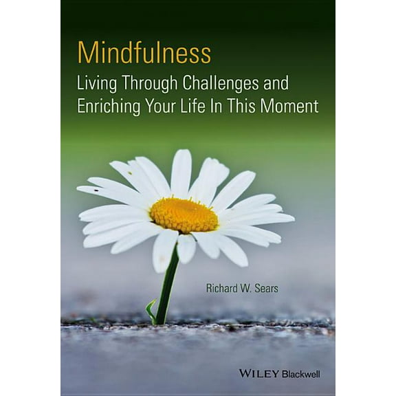 Mindfulness (Hardcover)
