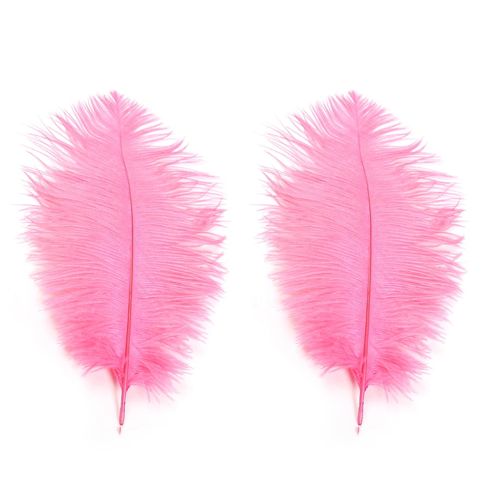 30 Plumes D'Autruche Rose Pâle 6-8 Pouces - Kit Art Floral & Décoration DIY