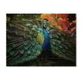 thumbnail image 3 of Designart "Blue Blue Indian Art Dancing Peacock" Indian Print on Natural Pine Wood, 3 of 5