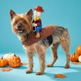 thumbnail image 2 of Vibrant Life Halloween Cowboy Ride-On Costume for Dogs and Cats, Multicolor, XS, 2 of 6