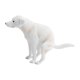 thumbnail image 4 of Figura realista de perro labrador, juguete de cachorro realista, decoración del hogar, modelo animal de simulación para sala de estar, hotel, comedor,, 4 of 8