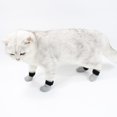 thumbnail image 3 of Mosey Great Paw Protector Anti Skid   for Home   Shock Absorption, 3 of 7