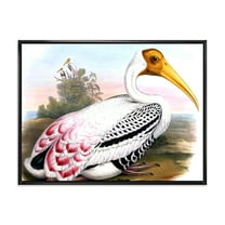 Designart 'Vintage Countryside White Birds' Farmhouse Framed Canvas Wall Art Print