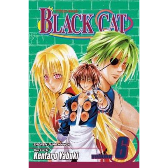 Pre-Owned Black Cat, Vol. 6 (Paperback) 1421506106 9781421506104