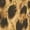 style-6, variant on Leopard Print Pattern-3 Women's Short Sleeve Tops Casual Blouses T Shirt