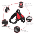 thumbnail image 5 of Small Medium Large Dog Harness Nylon Reflective Collar Vest Harnesses For Dogs Training Husky Alaskan Bulldog Breast-band Belt, 5 of 5