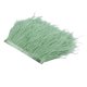 thumbnail image 1 of 1 yarda de plumas de avestruz, plumas de avestruz, fiesta de disfraces para ropa, Verde claro, 1 of 7