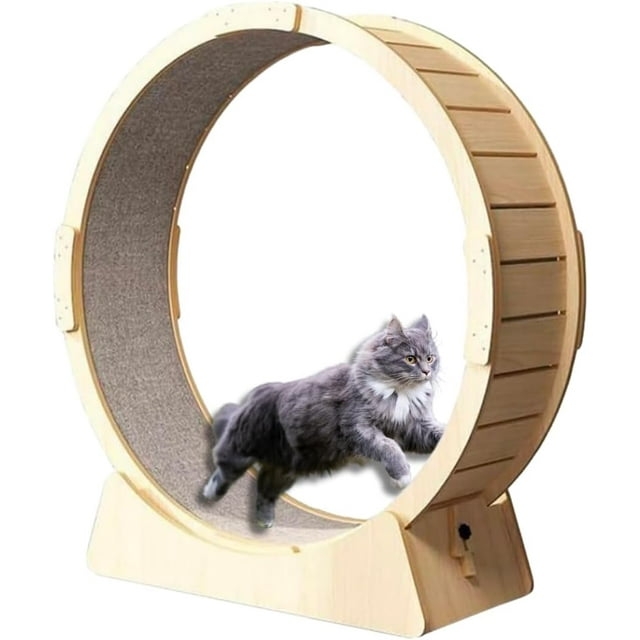 Fastpet Rueda de Ejercicio para Gatos - Gran Cinta de Correr para Gatos de Interiores, Pista Alfombrada, Fitness y Diversion Saludable, Juguete para Gatos, Adecuada para la Mayoria de los Gatos