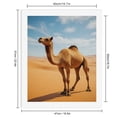 thumbnail image 2 of Paint by Numbers Kit for Adults, Desert Camel Under Blue Sky Paint by Numbers, Easy Paint by Numbers Kit for Adults Beginner, DIY Adult Paint by Number Kits on Canvas, Home Decor 12x16in, 2 of 7
