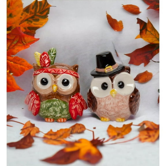 Ceramic Owl Salt and Pepper Shakers Pilgrim Indian Gift