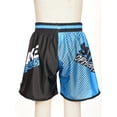 thumbnail image 5 of Linjinx Kids Boys Muay Thai Boxing Shorts MMA Kickboxing Trunks Martial Arts Grappling Bottoms Type F L/110, 5 of 7