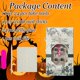 thumbnail image 5 of Uñas postizas adhesivas BMKKOT Halloween Momia Telaraña 24 piezas, 5 of 7