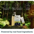thumbnail image 3 of Ancient Nutrition Rapid Hydration Electrolyte Powder, Lemon Lime, Sea Salt & Red Marine Algae, Hydration & Cellular Health, 15 Servings, 3 of 6