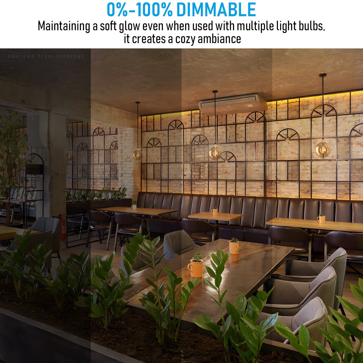 2 Pack LED Globe Decorative Light Bulb 4W, 9.84“ Dia. Ultra-large Round Edison Bulbs Dimmable, 20W Equivalent, Flexible Spiral LED Filament Bulb, E26 Base, 2200K Amber Warm