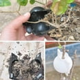 thumbnail image 4 of Deago Reusable Plant Rooting Device High Pressure Propagation Ball Box Asexual Reproduction Growing Garden Grafting (Black, L), 4 of 9