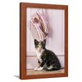 thumbnail image 1 of Tortoiseshell Cat Kitten with Ballet Shoes, Animals Figurative Framed Art Print Wall Art Sold by Art.Com, 1 of 5