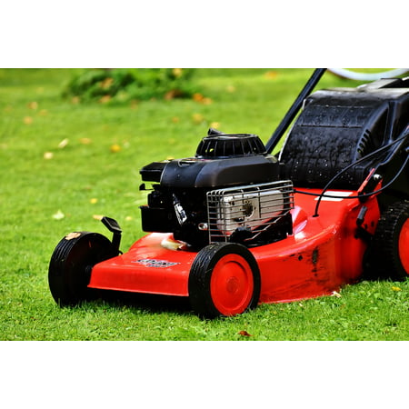 LAMINATED POSTER Cut Grass Gardening Mow Lawn Mower Grass Surface Poster Print 24 x (Best Way To Cut Laminate)