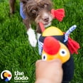 thumbnail image 2 of The Dodo Treat Dispensing Plush Dog Toy, 2 of 10
