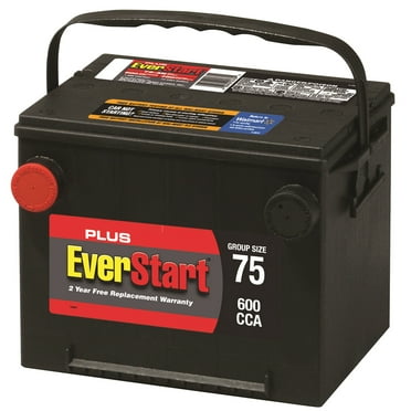 EverStart Lead Acid Marine & RV Deep Cycle Battery, Group Size 27DC 12 ...