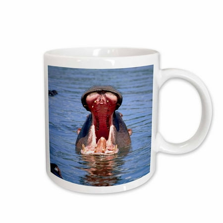 

3dRose Hippos with mouth agape Tanzania Africa - NA02 DNO0380 - David Northcott Ceramic Mug 15-ounce