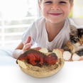 thumbnail image 4 of Attractive Simulation hatches Dinosaur Cub Educational Model Doll Children Gift., 4 of 9