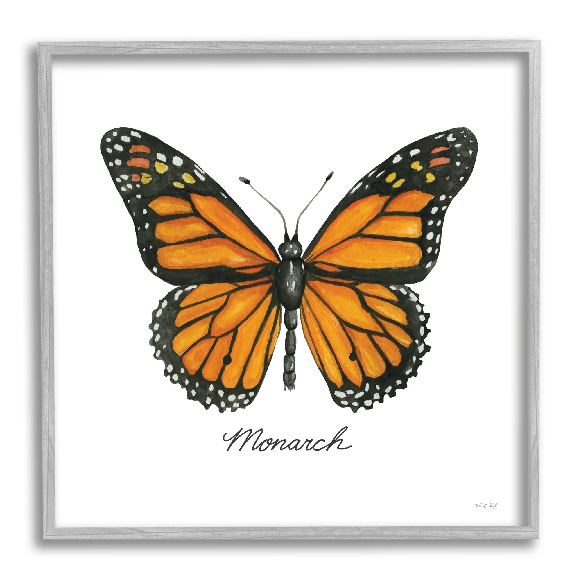 Stupell Industries Monarch Butterfly Casual Insect Wildlife Design Graphic Art Gray Framed Art Print Wall Art, Design by Cindy Jacobs
