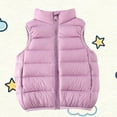 thumbnail image 2 of Birdeem Kids Winter Down Jacket, Solid Color Warm Stand Up Collar Camisole Set, 2 of 7