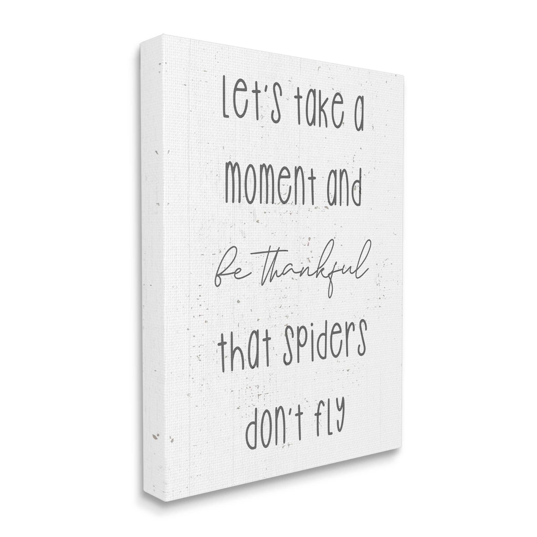 Stupell Industries Spiders Don't Fly Humor Graphic Art Gallery Wrapped Canvas Print Wall Art, Design by Daphne Polselli