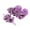 Purple, variant on Huowey Newborn Baby Shoes With Hair Band Fashion Soft Soled Newborn Shoes Versatile Dress Flower Shoes Newborn Shoes Fashionable Footwear, 0-6 Months