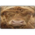 thumbnail image 4 of Dreamtimes Highland Cow Cattle Head Non-Slip Area Rug Funny Animal Floor Carpet Comfort Floor Mats Decor for Indoor Front Porch,Living Room, Bedroom,Kitchen, 36"x24", 4 of 5