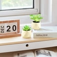 thumbnail image 3 of Mini succulents indoor home decoration simulation plant, 3 of 5