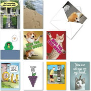 NobleWorks - 10 Funny I Miss You Cards Assorted - Boxed Stationery Notecards, Humor Friendship Animal Greetings - Miss