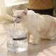 thumbnail image 4 of Sjq Fuente Automática Para Gatos Con Grifo Dispensador Para Perros Bebederos Transparentes Para Gatos Mascotas, 4 of 4