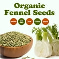 thumbnail image 5 of Organic Fennel Seeds, 2 Pounds — Non-GMO, Kosher, Raw, Vegan — by Food to Live, 5 of 8