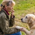 thumbnail image 2 of Dogit Sifflet Silencieux pour le Dressage des Chiens, 2 of 5