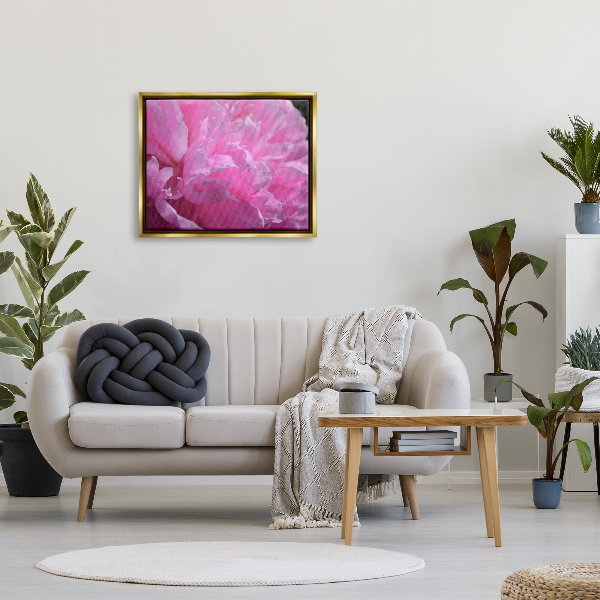 Stupell Industries Pink Carnation Photography Botanical & Floral Photography Gold Floater Framed Canvas Art Print Wall Art, 31 x 25