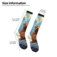 thumbnail image 2 of Honeii Sunshine Cloud Bulldog Print Long Socks,Novelty Design Socks Gift for Men and Women,Crew Socks,Calf Socks, 2 of 6