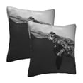 thumbnail image 2 of PISONIC Sea Turtle Pillow Covers Set of 2, Decorative Throw Pillows Cases Square Cushion Case for Home Sofa Bed Couch, 20x20 Inch, 2 of 8