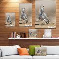 thumbnail image 4 of Design Art - Grey arabian horse run in dust, 4 of 4