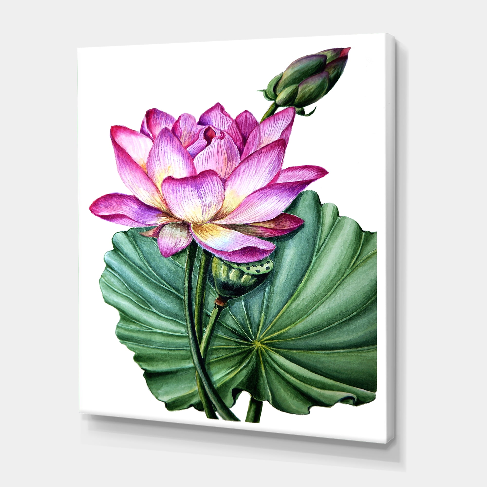 Designart ' Ancient Pink Lotuses In The Pond VI ' Traditional Canvas Wall Art Print